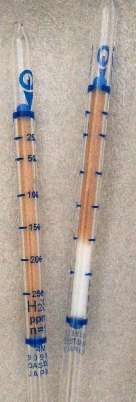 GASTEC硫化氢检测